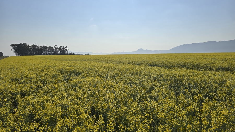 Commercial Property for Sale in Wellington Rural Western Cape